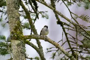 jardin acceuillant pour la faune sauvage