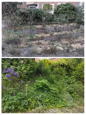 5D9797AE-3FE7-4803-BAD9-68B5C2A44A17-COLLAGE (1).jpg