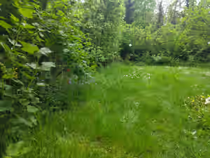 IMG_20250425_160753 (1).jpg