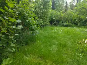 IMG_20250425_160753 (1).jpg